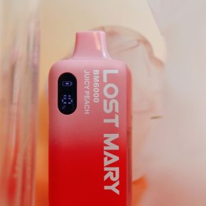 https://vapenowusa.com/product-category/lost-mary-viz-55k/
