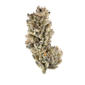Purple Hindu Kush CBD hemp flower deep purple dense buds