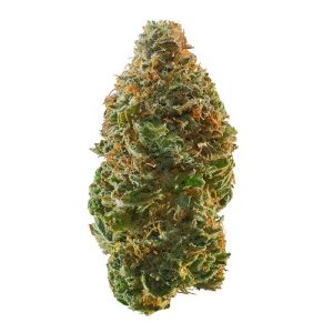 Special Sauce CBD hemp flower deep purple dense buds