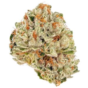 Suver Haze CBD hemp flower dense purple tinged buds
